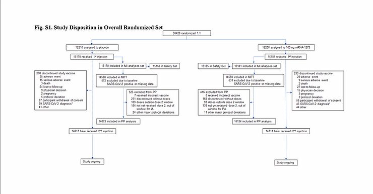 study disposition overall randomised set