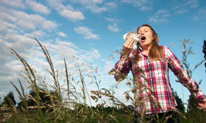 Click to enlarge hay fever