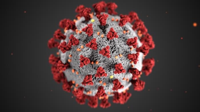 coronavirus 3d model