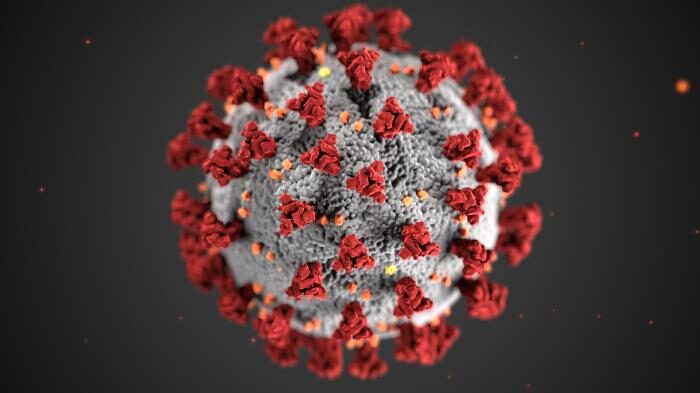 Click to enlarge coronavirus 3d model
