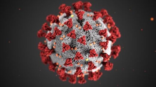 coronavirus 3d model