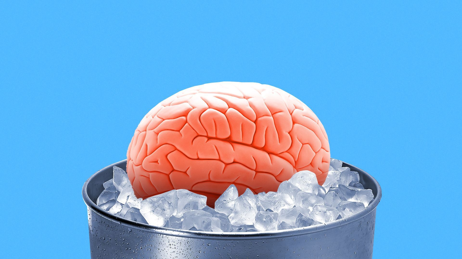 Click to enlarge brain on ice