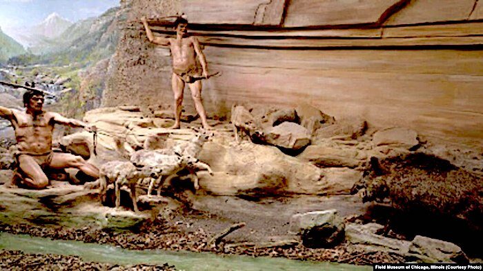Click to enlarge Neanderthal and dogs