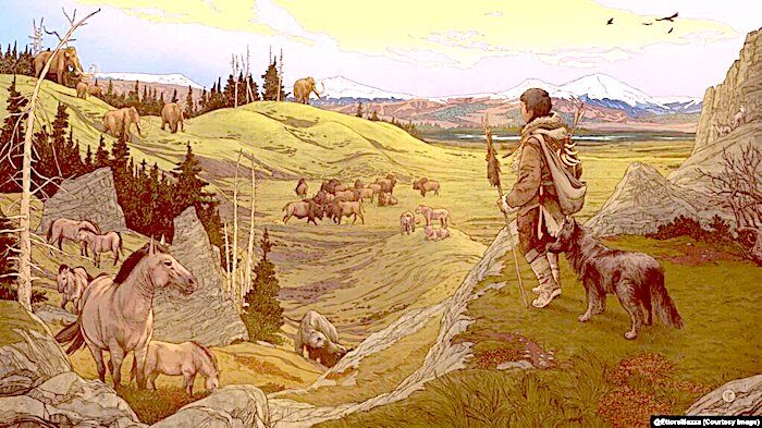 Click to enlarge Illustration