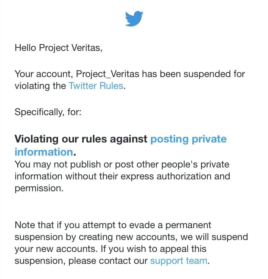 Click to enlarge project veritas twitter 1