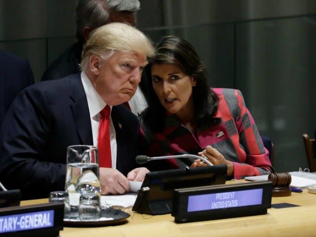 Click to enlarge Haley and Trump