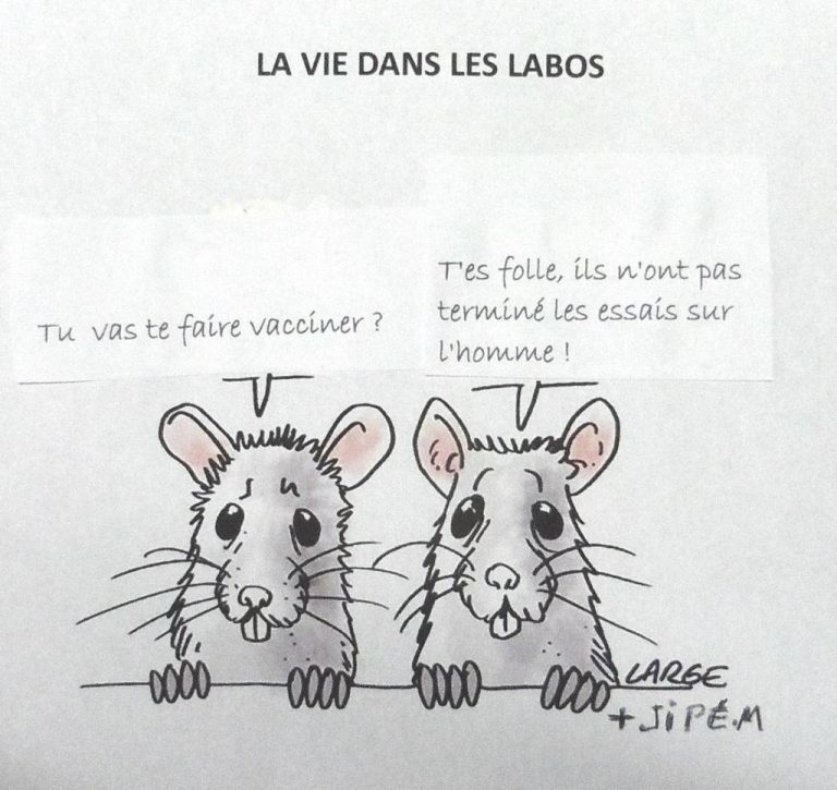 Click to enlarge mice meme vaccine