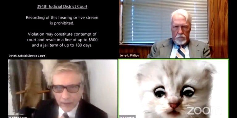 zoom filter cat court hearing
