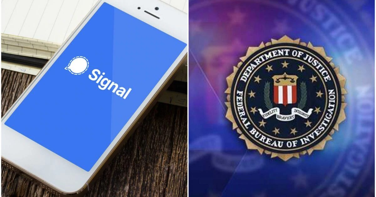 signal app