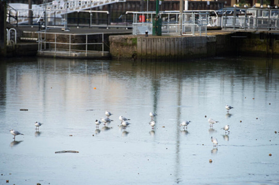 Click to enlarge Thames frozen