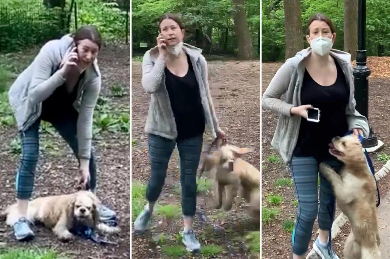 Charges against 'Central Park Karen' Amy Cooper dismissed after being