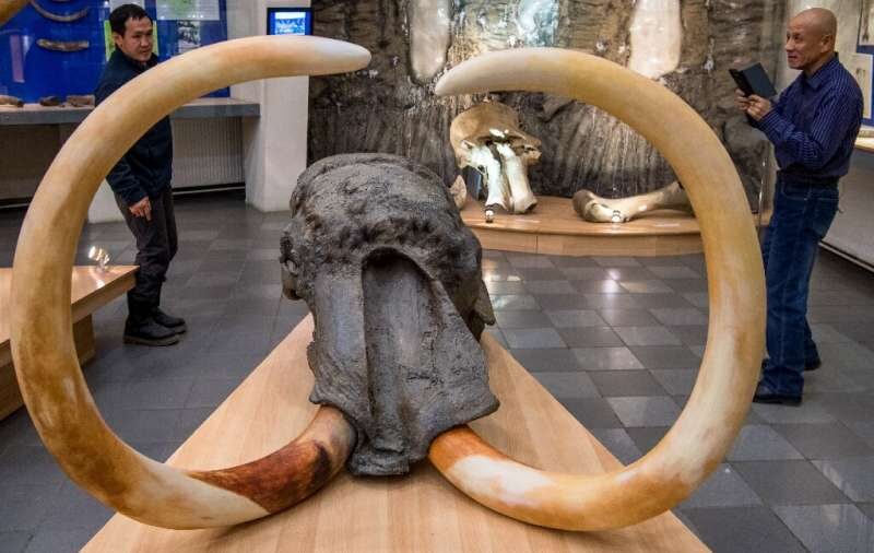 mammoth