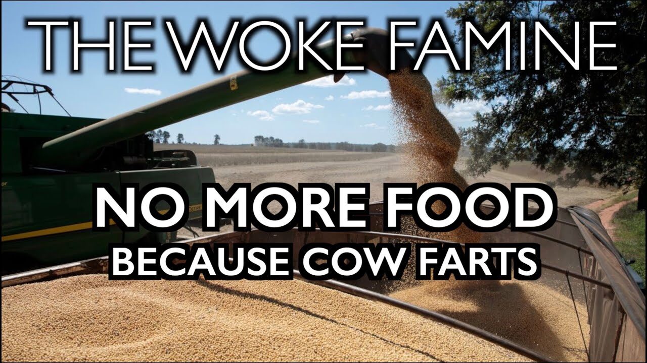 cow farts