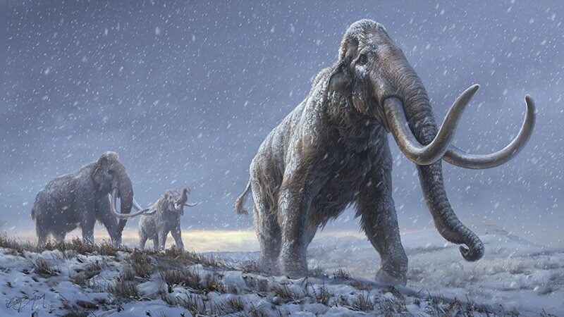 mammoth