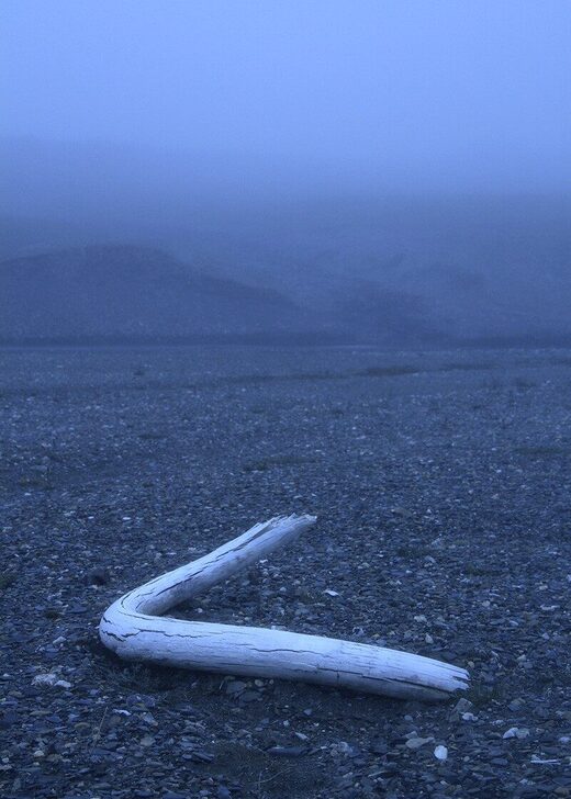 Click to enlarge mammoth tusk