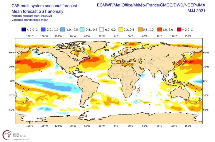 early Summer sea surface temperature forecast