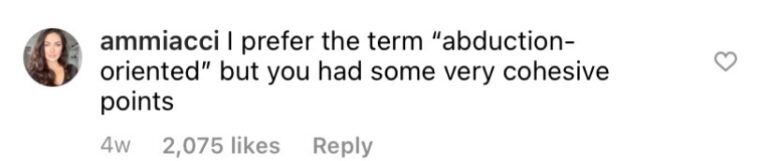 ammiacci instagram comment
