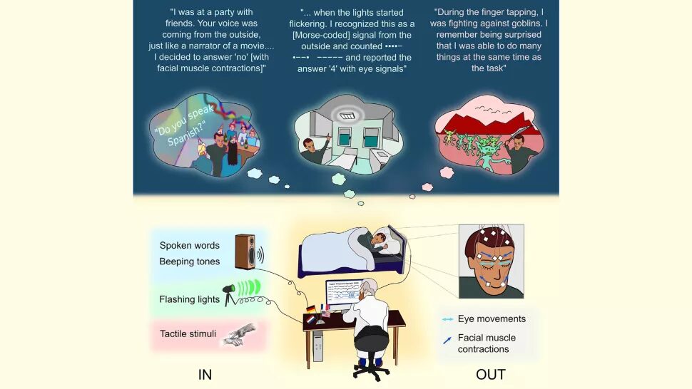Click to enlarge Sleep Experiments