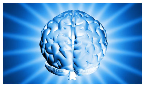 Brain