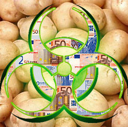 Click to enlarge gm potato