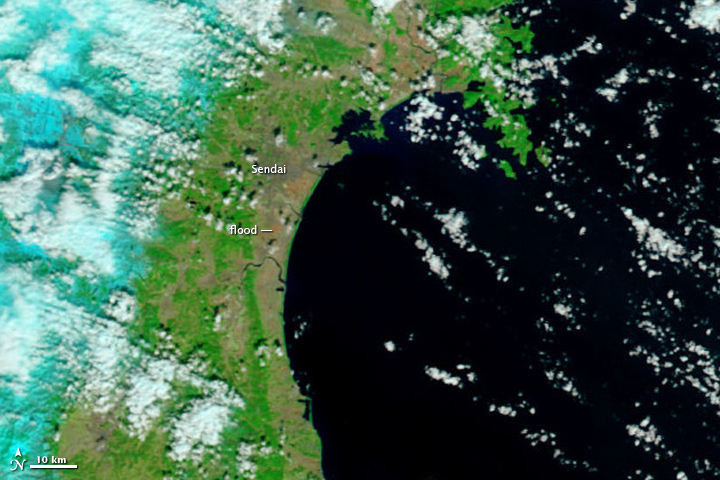 Click to enlarge Image