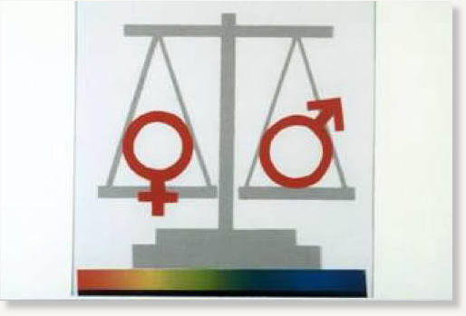 Gender equality scales