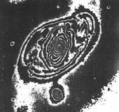 Click to enlarge Quasar