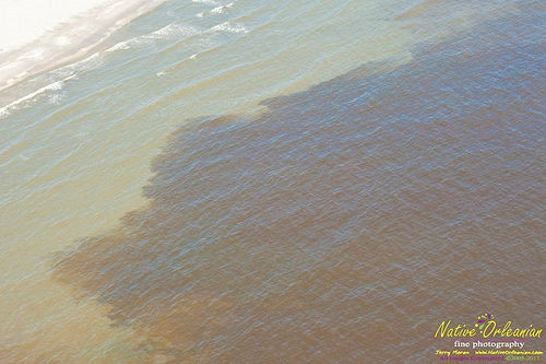 oil spill