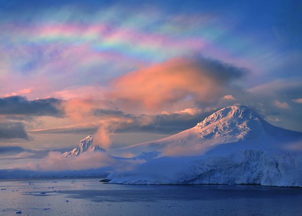 Click to enlarge Arctic Ozone