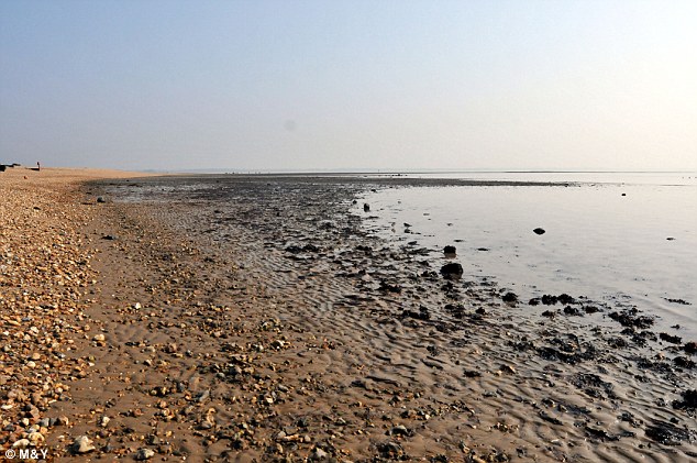 Click to enlarge Image