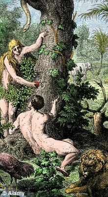 Click to enlarge garden of Eden