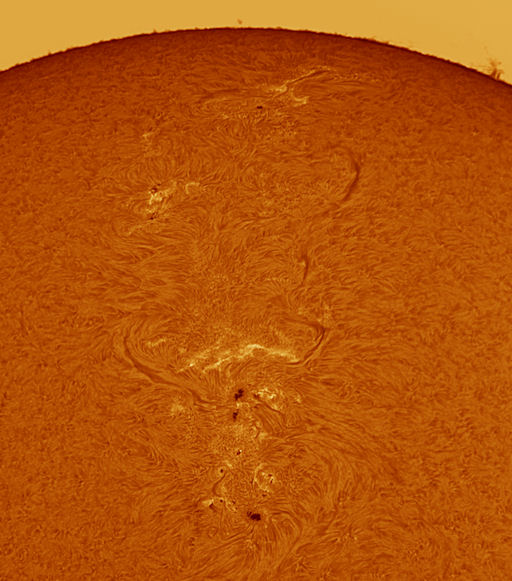 Sunspot 1176
