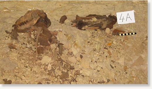 Click to enlarge mummy,dogs