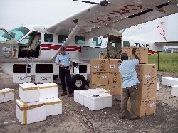 Click to enlarge medical supplies Congo
