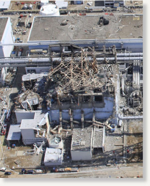 nuclear plant,japan