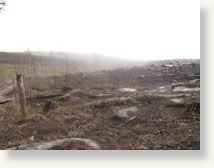tunguska