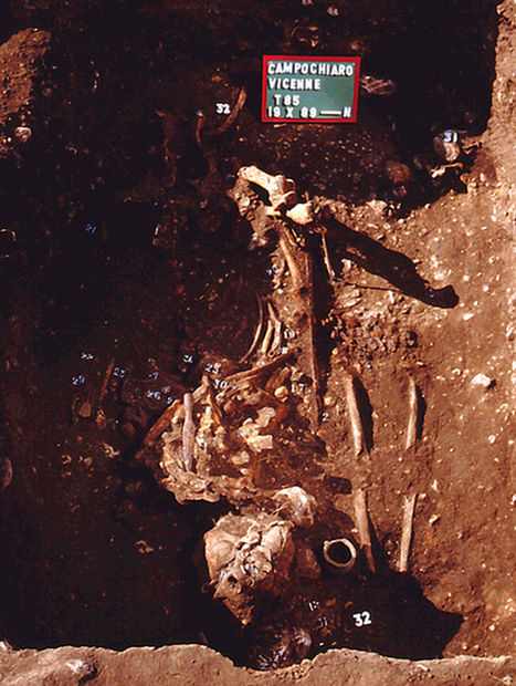 Click to enlarge Leprosy Warrior