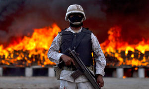 Click to enlarge soldier guards marijuana