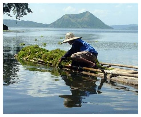 taal,volcano