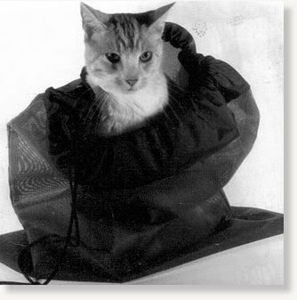 Cat Bag