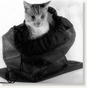 Click to enlarge Cat Bag