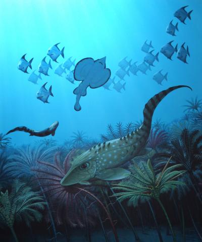 Click to enlarge Marine Ecosystem