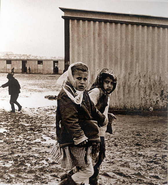 Click to enlarge Image