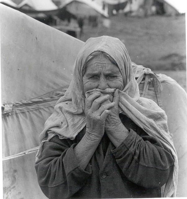 Click to enlarge Image