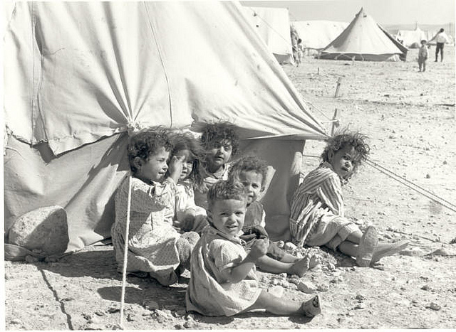 Click to enlarge Image