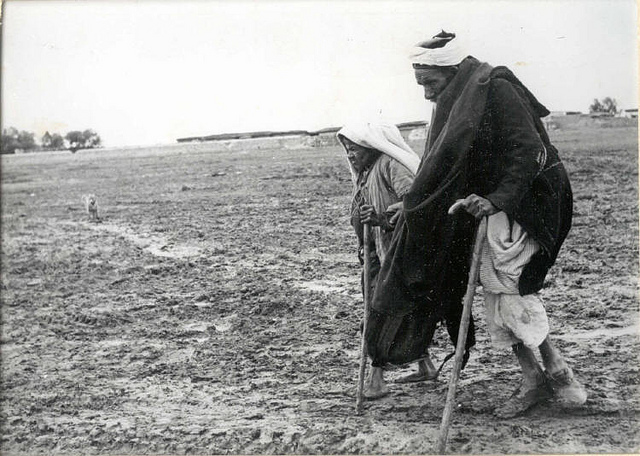 Click to enlarge Image