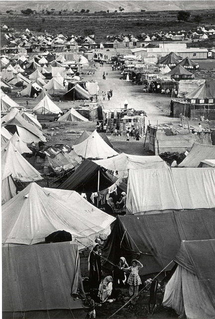 Click to enlarge Image