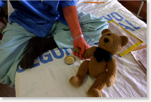 teddy bear