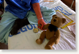 Click to enlarge teddy bear