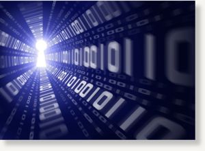 ip address person